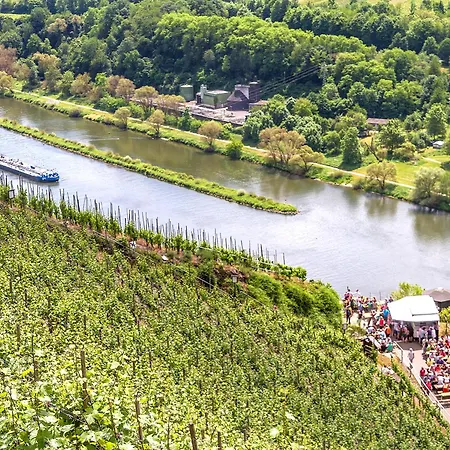 Anton Im Haus Moselwelt Apartment Zell an der Mosel