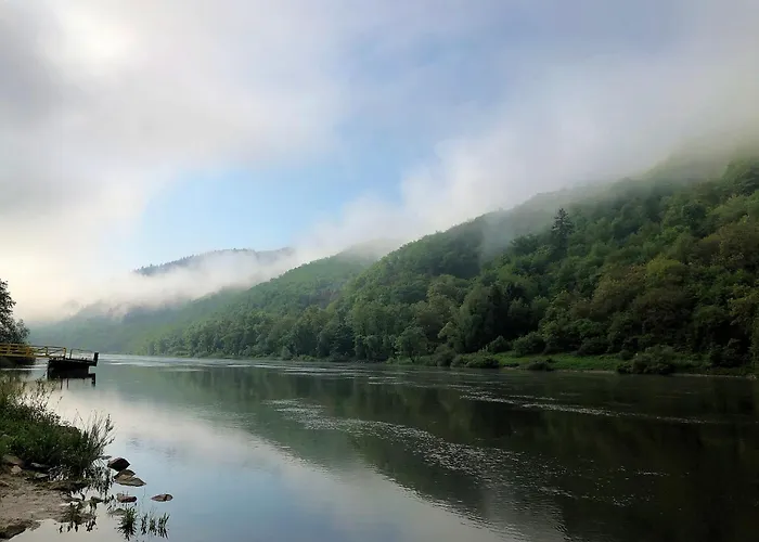 Anton Im Haus Moselwelt *