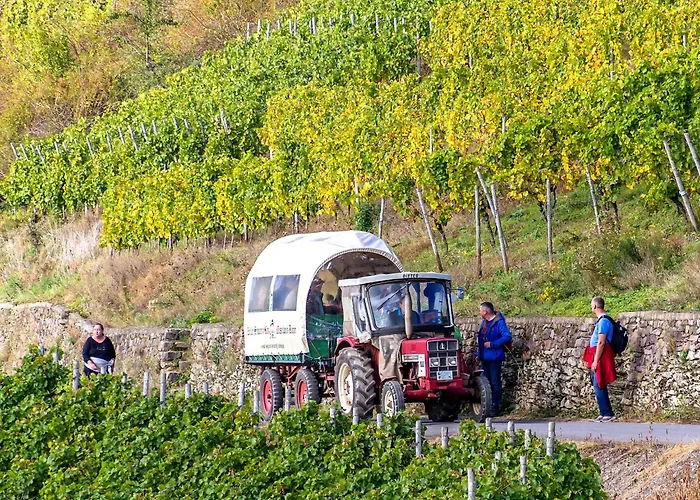 Anton Im Haus Moselwelt